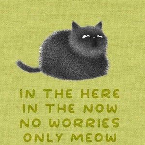 Meet your Posher, Kat